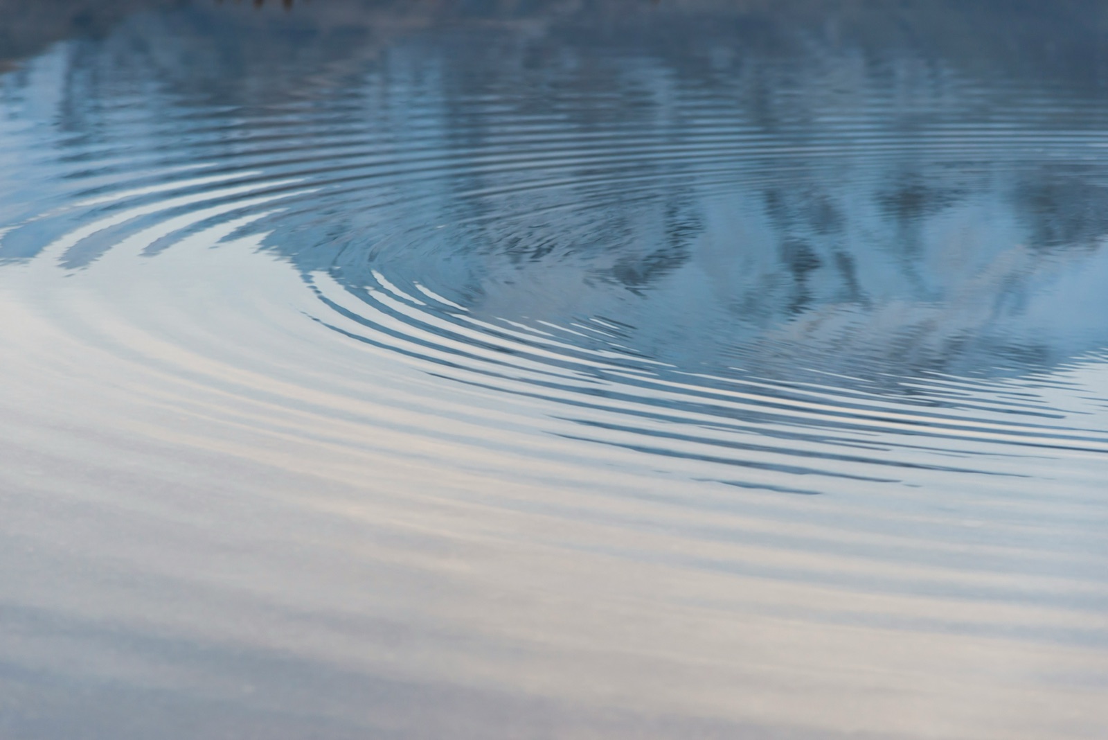 Concentric ripples on still water - representing how a single moment of online expression spreads through and reshapes a family's collective reputation